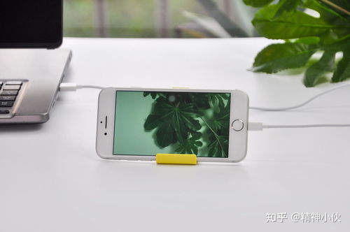 2021年蘋果產(chǎn)品選購指南 iPhone、iPad、iWatch、AirPods全方位解析及軟件設(shè)計開發(fā)推薦